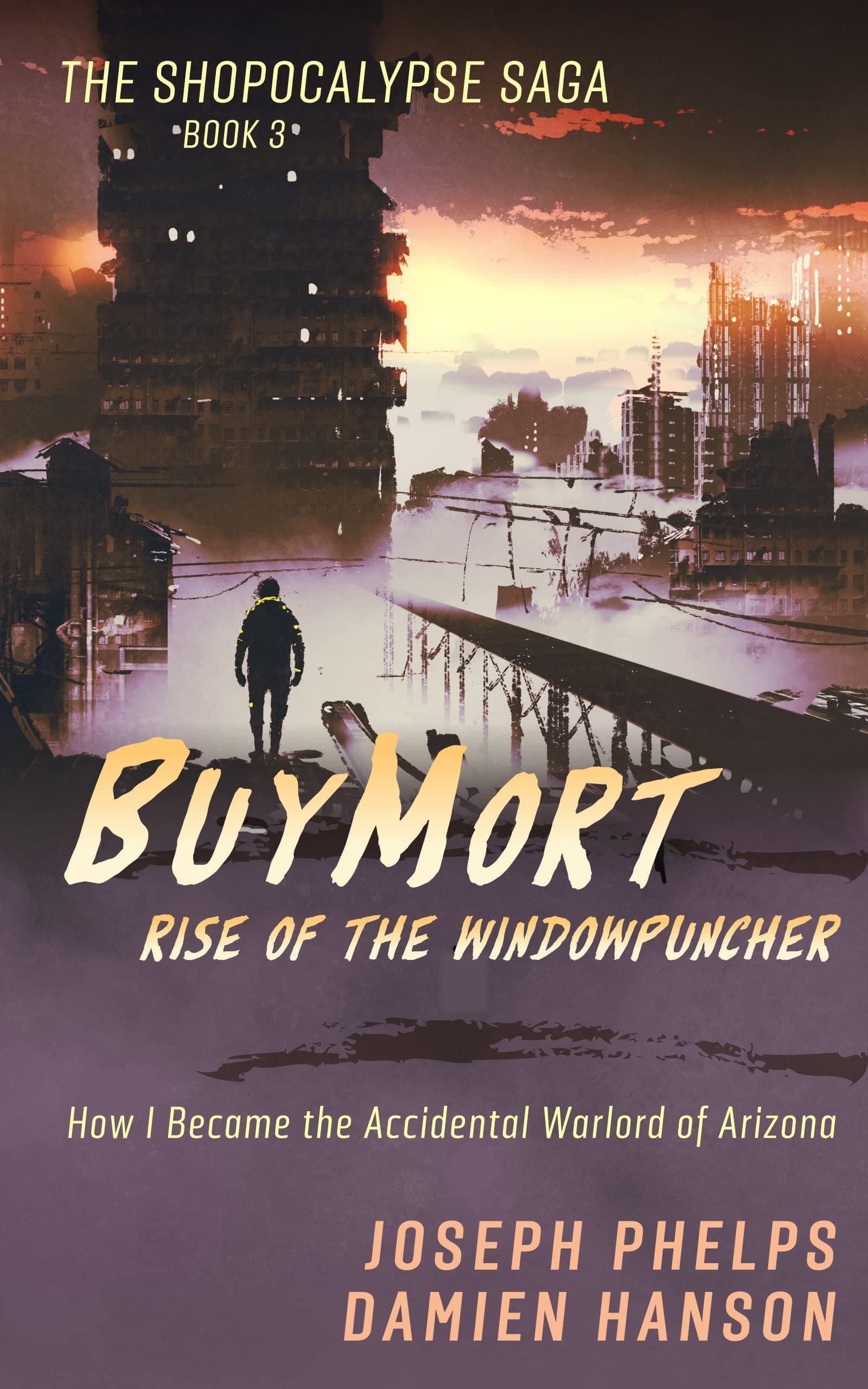 BuyMort: Rise of the Windowpuncher: How I Became the Accidental Warlord of Arizona cover