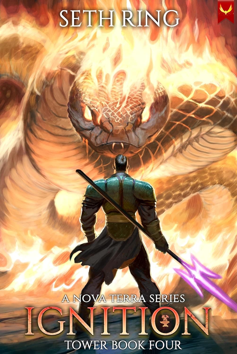 Ignition cover